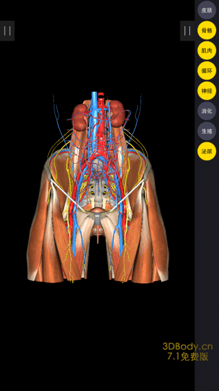 3Dbody解剖 安卓版