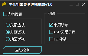 生死狙击夏夕透视辅助 绿色版