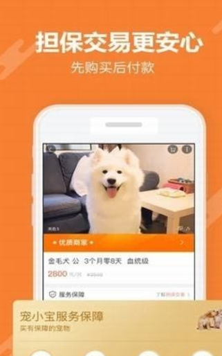 宠小宝 v1.3.1