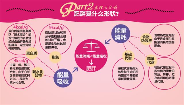 薄荷 安卓版