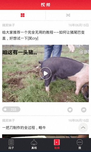 每日爆笑精选 安卓版