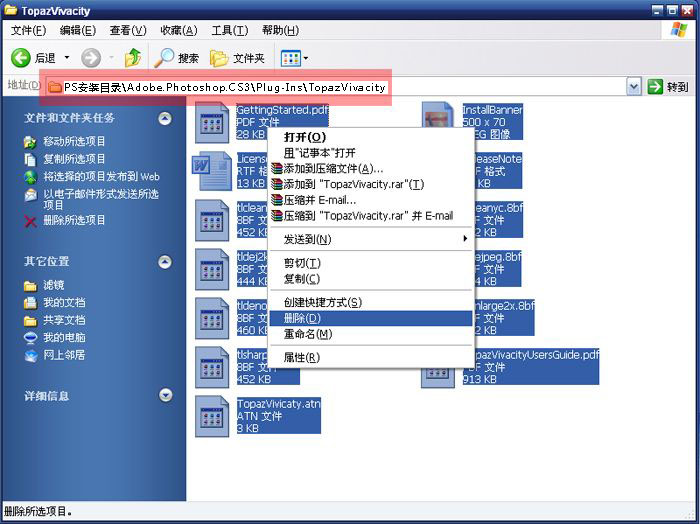 topaz 中文版