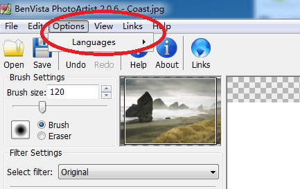 BenVista PhotoArtist 绿色版
