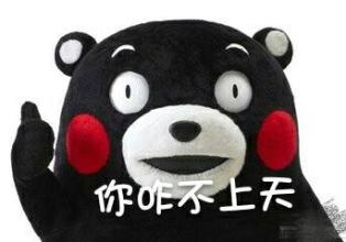 熊本熊表情包 免费版