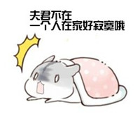 卖萌仓鼠表情包 绿色版
