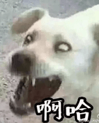 娘子啊哈表情包 绿色版