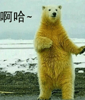 娘子啊哈表情包 绿色版