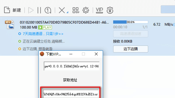 VIP视频下载器 绿色版