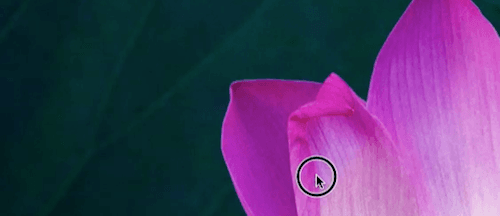 苹果视频播放器 v7.7.9
